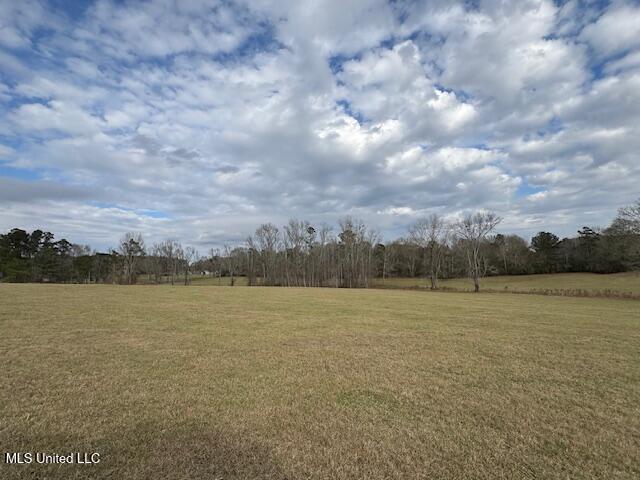 1057 Joel Lang Road Magnolia, MS 39652 - Photo 41 of 67 IMG_0136