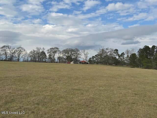 1057 Joel Lang Road Magnolia, MS 39652 - Photo 42 of 67 IMG_0137