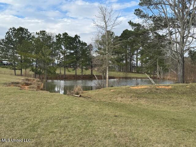 1057 Joel Lang Road Magnolia, MS 39652 - Photo 43 of 67 IMG_0138