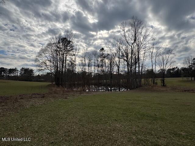 1057 Joel Lang Road Magnolia, MS 39652 - Photo 44 of 67 IMG_0139