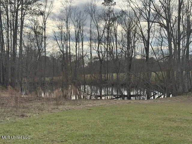 $289,500 | 1057 Joel Lang Road, Magnolia, MS 39652