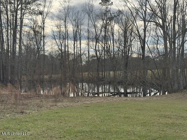 1057 Joel Lang Road Magnolia, MS 39652 - Photo 45 of 67 IMG_0140