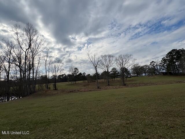 1057 Joel Lang Road Magnolia, MS 39652 - Photo 46 of 67 IMG_0141