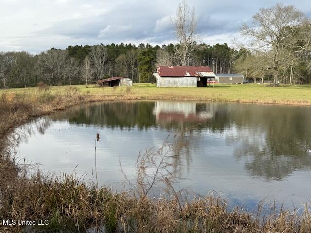 1057 Joel Lang Road Magnolia, MS 39652 - Photo 50 of 67 IMG_0145