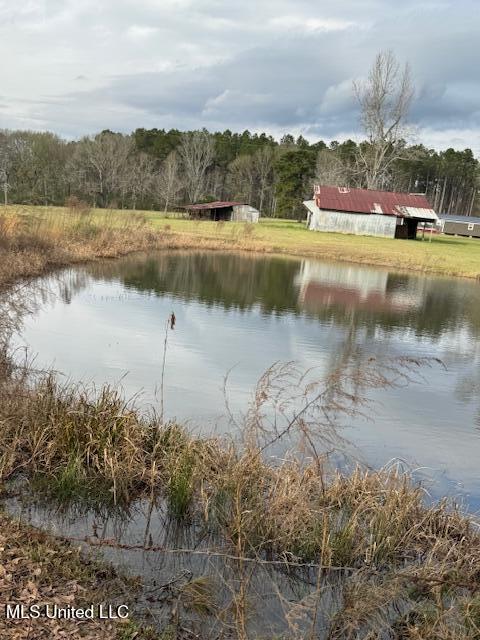 1057 Joel Lang Road Magnolia, MS 39652 - Photo 51 of 67 IMG_0146