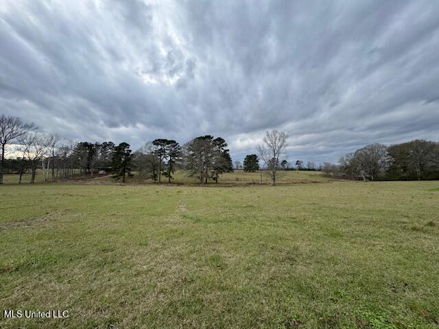 1057 Joel Lang Road Magnolia, MS 39652 - Photo 60 of 67 IMG_0155