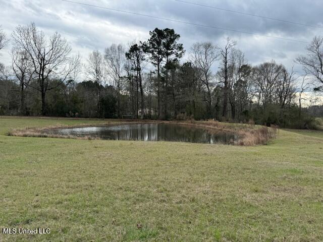 1057 Joel Lang Road Magnolia, MS 39652 - Photo 66 of 67 IMG_0161