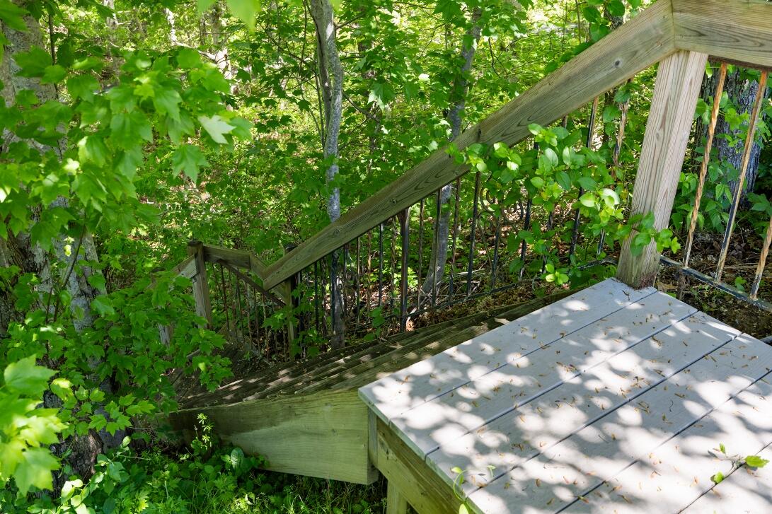 227 Run Hill Road Brewster, MA 02631 - Photo 74 of 89 a backyard of a house with lots of green space