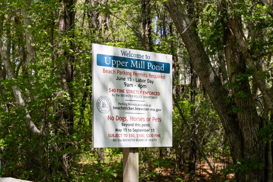 227 Run Hill Road Brewster, MA 02631 - Photo 87 of 89 9L4A3412