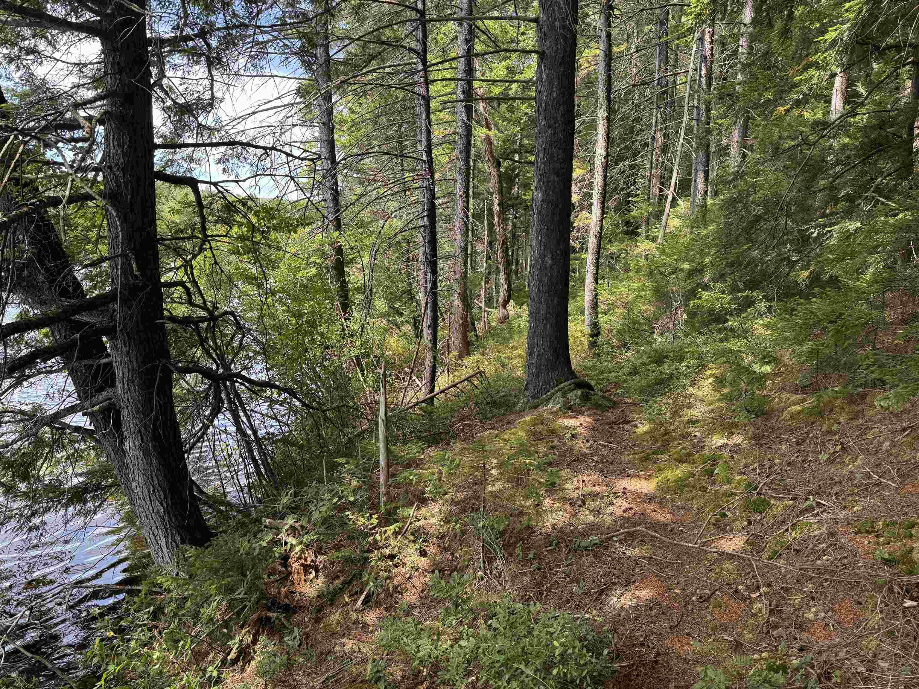 0 Lake Hill Road Jacksonville, VT 05342 - Photo 11 of 23