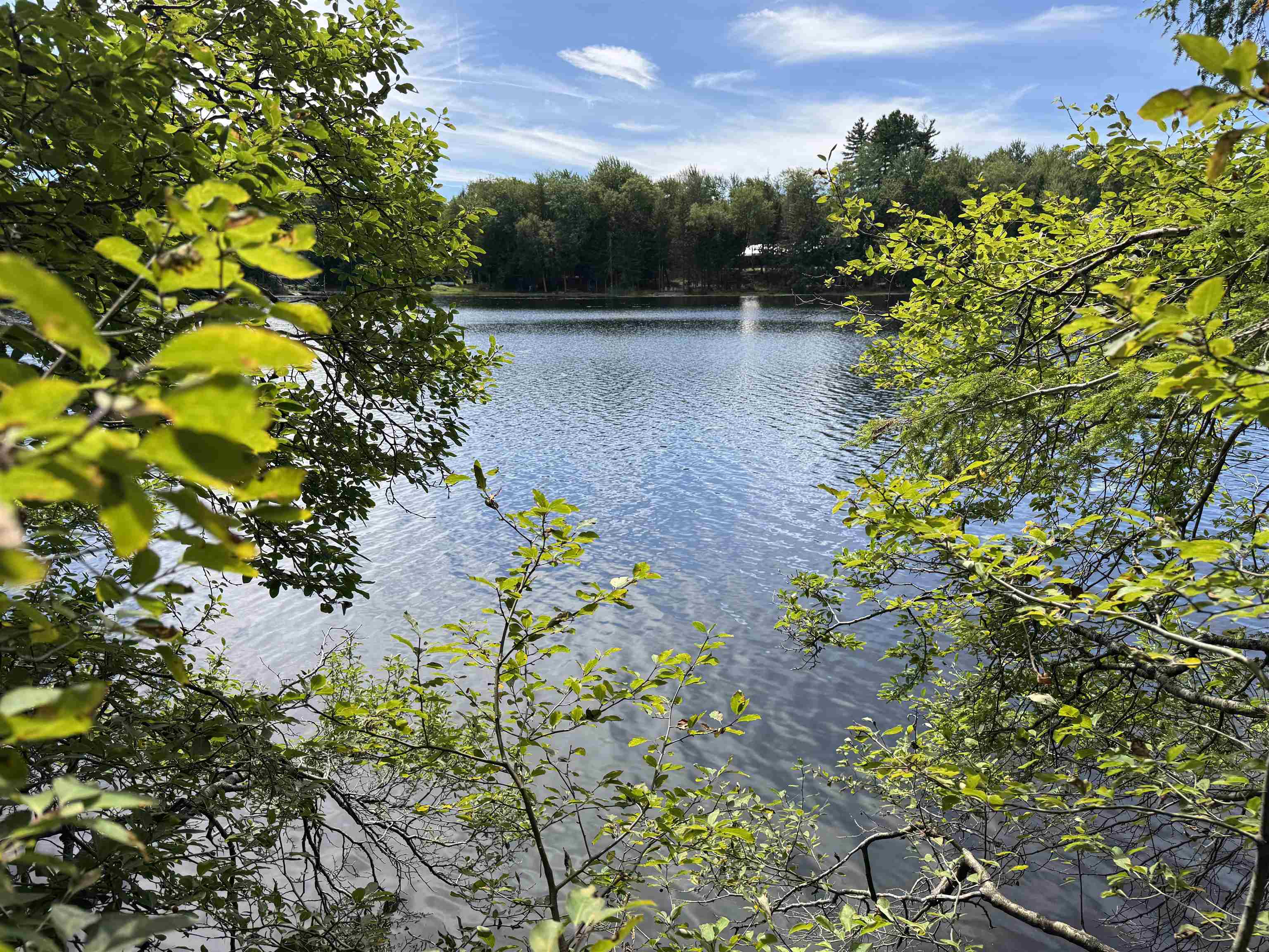 0 Lake Hill Road Jacksonville, VT 05342 - Photo 12 of 23