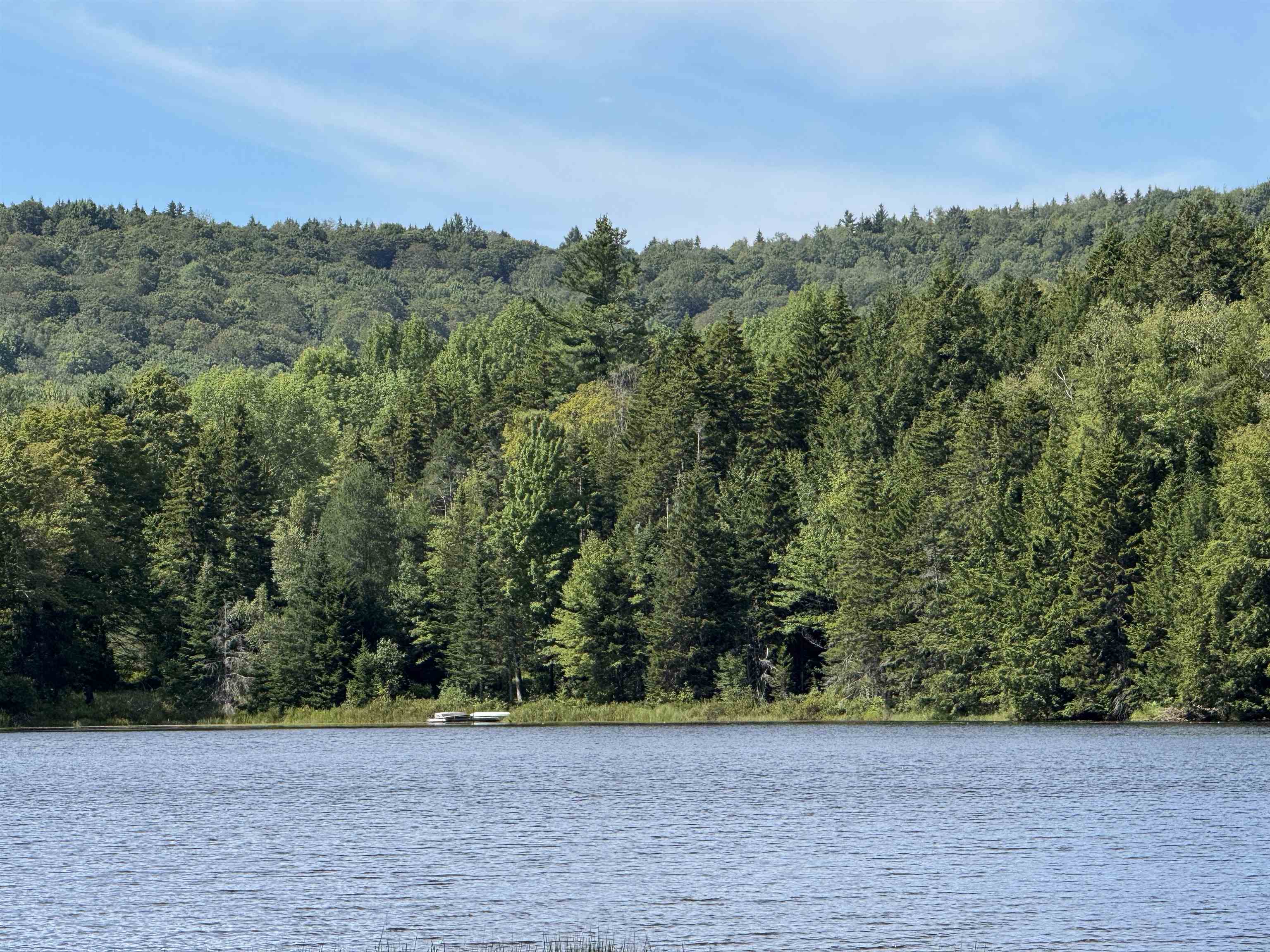 0 Lake Hill Road Jacksonville, VT 05342 - Photo 13 of 23