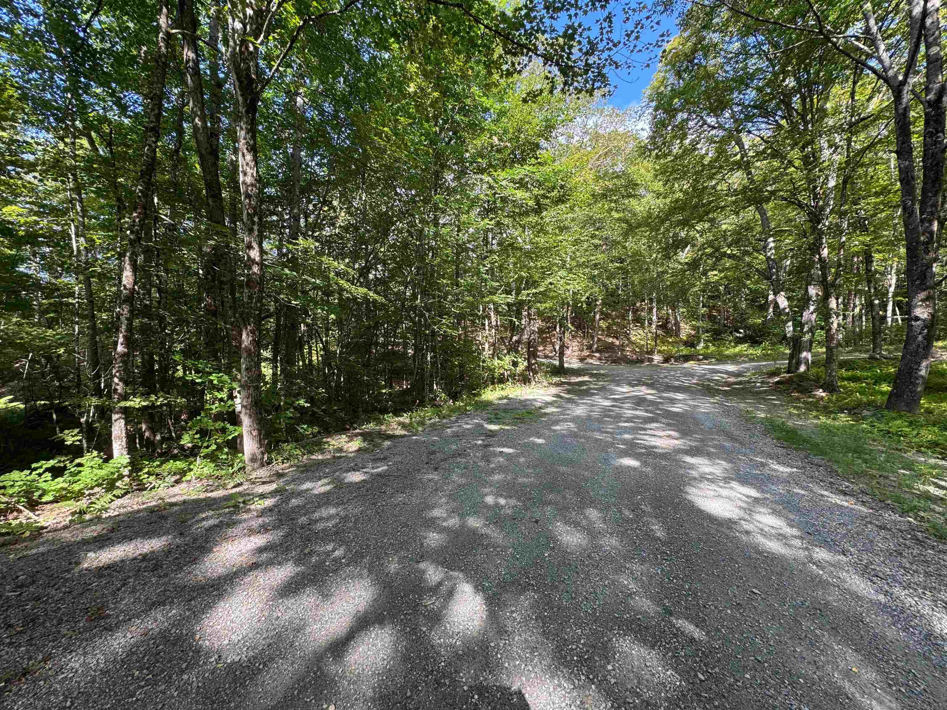 0 Lake Hill Road Jacksonville, VT 05342 - Photo 16 of 23