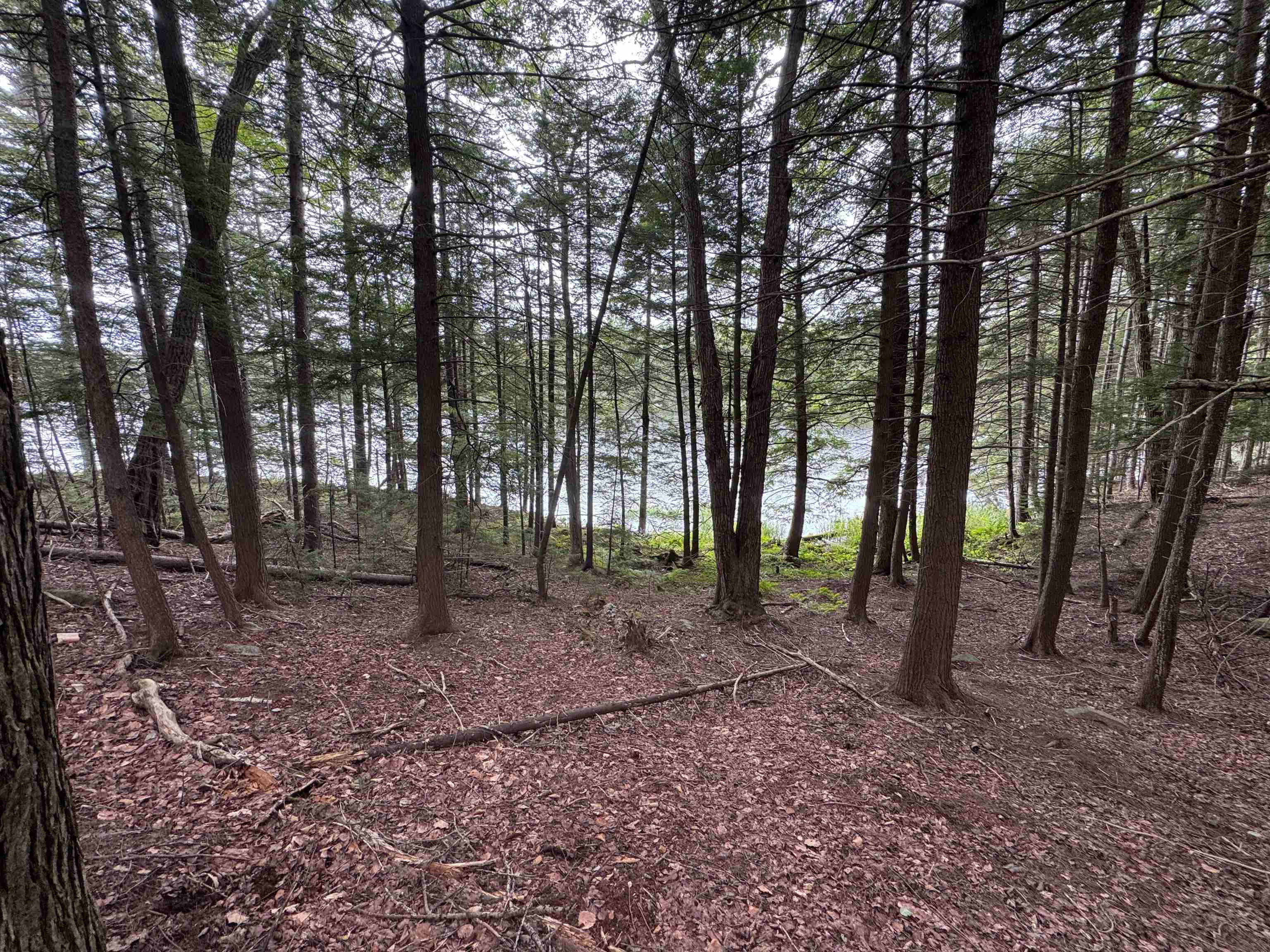 0 Lake Hill Road Jacksonville, VT 05342 - Photo 19 of 23