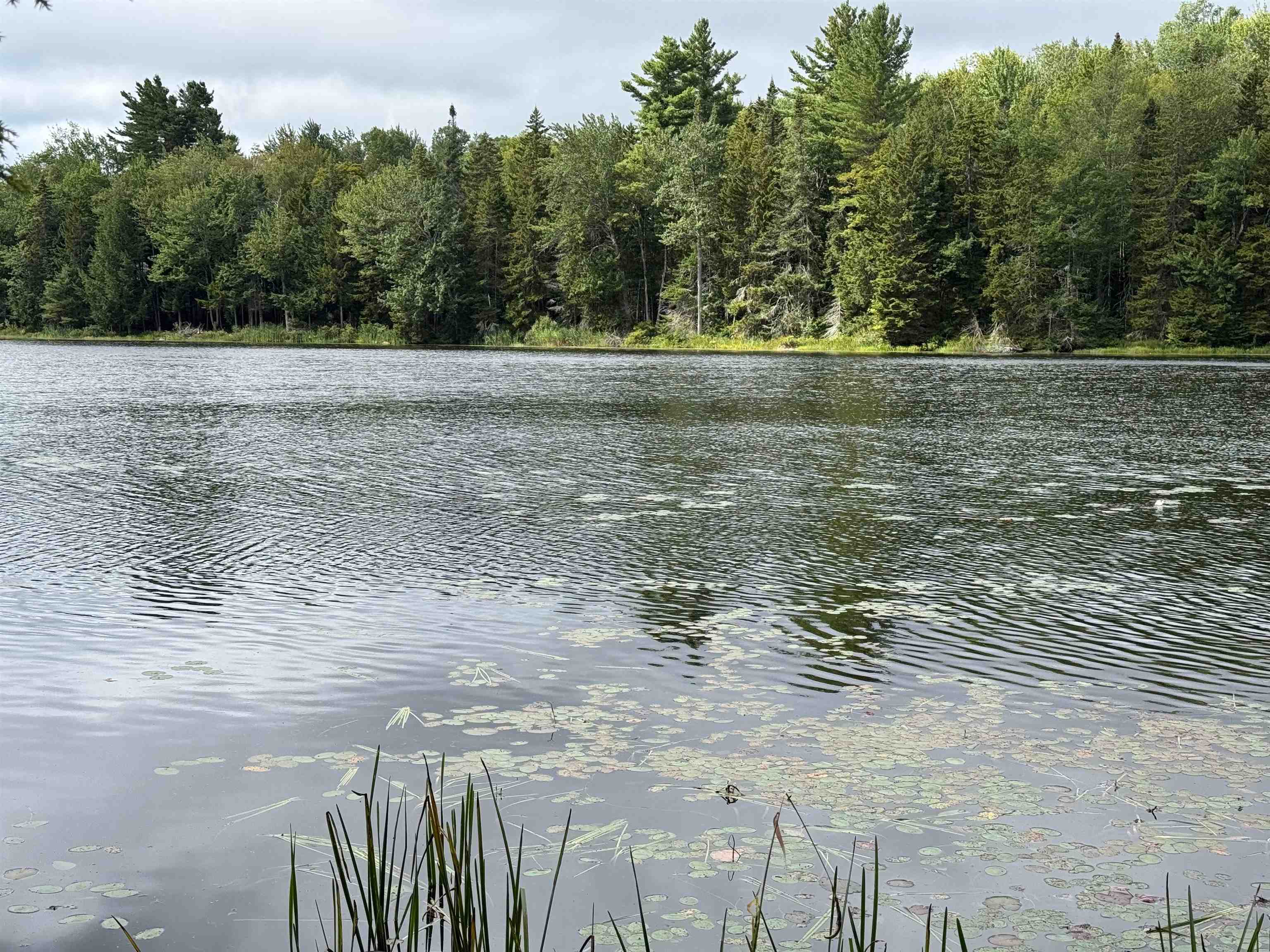 0 Lake Hill Road Jacksonville, VT 05342 - Photo 20 of 23