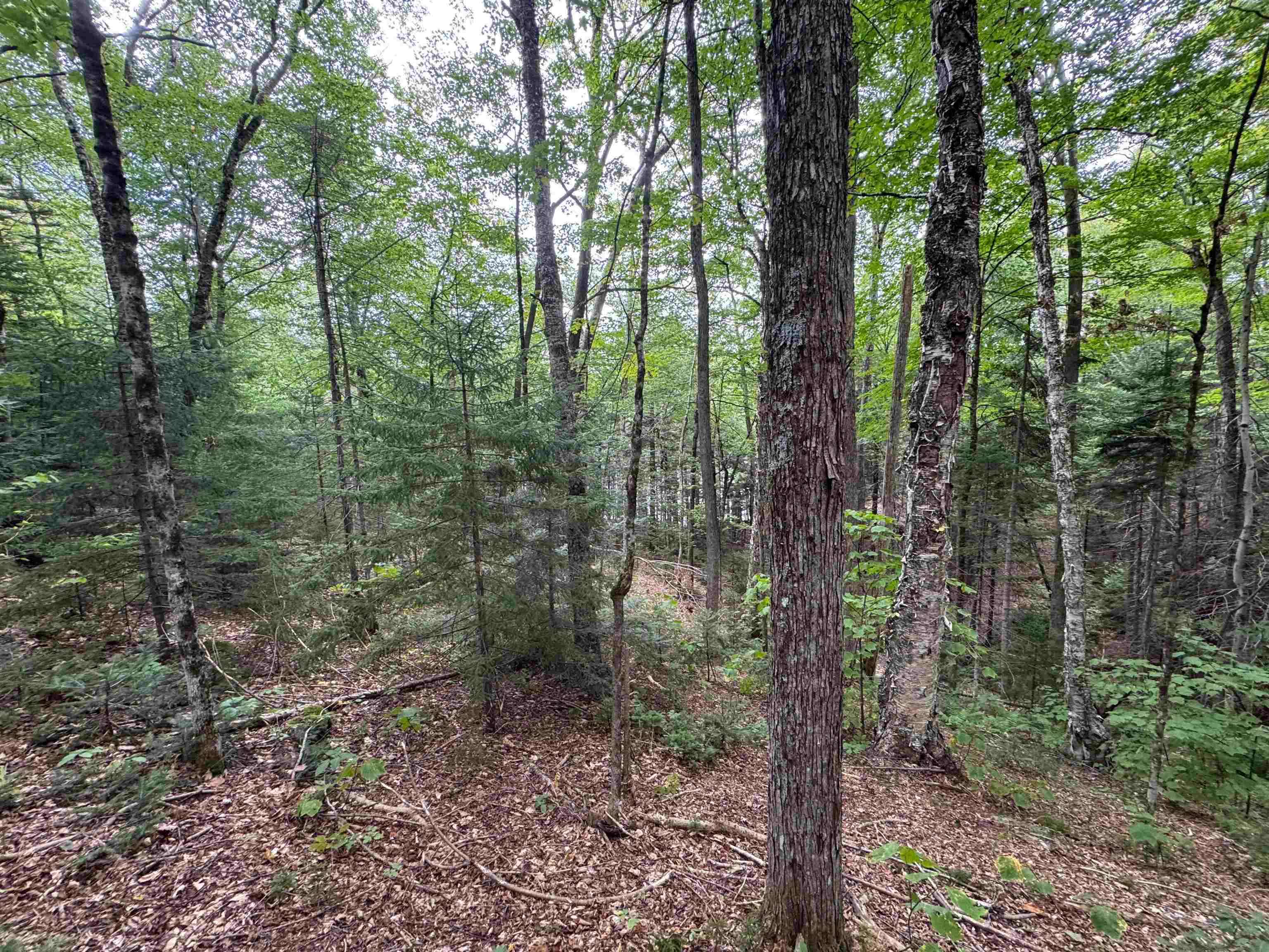 0 Lake Hill Road Jacksonville, VT 05342 - Photo 21 of 23