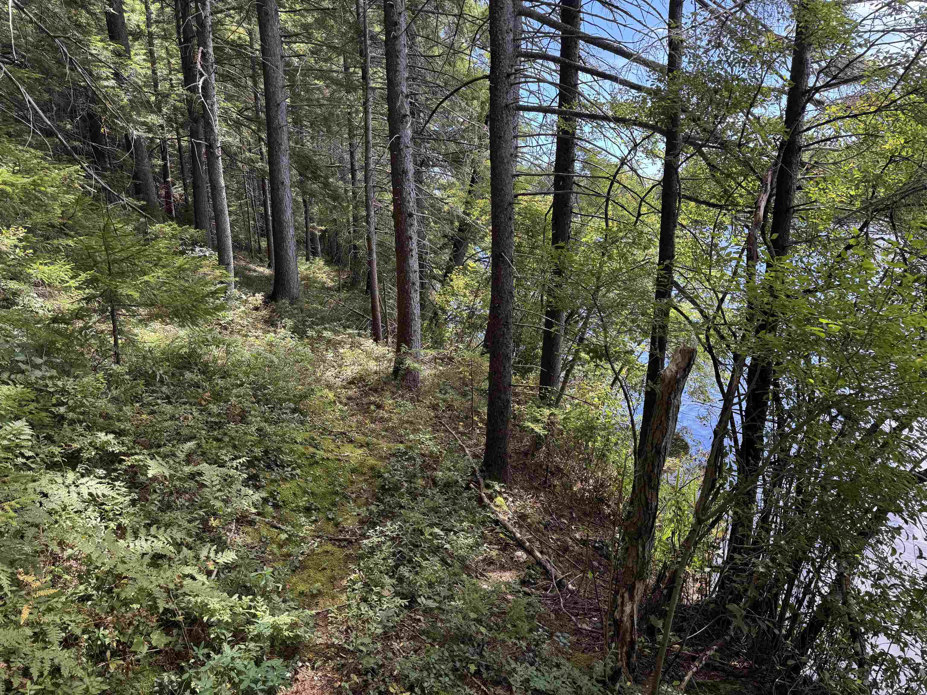0 Lake Hill Road Jacksonville, VT 05342 - Photo 9 of 23