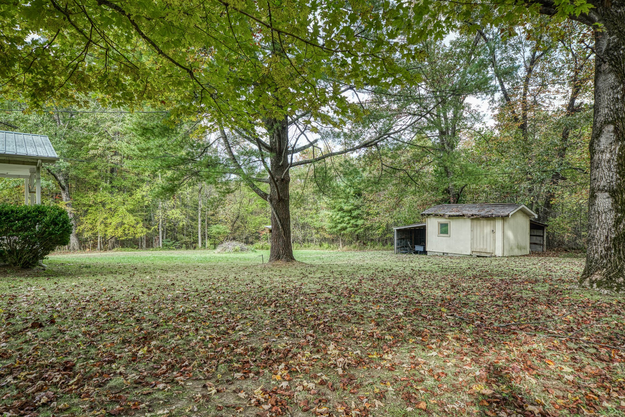 817 Jr Camp Road Monterey, TN 38574 - Photo 16 of 22 Gallery Image 16