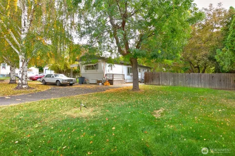 a view of a backyard with plants and large trees