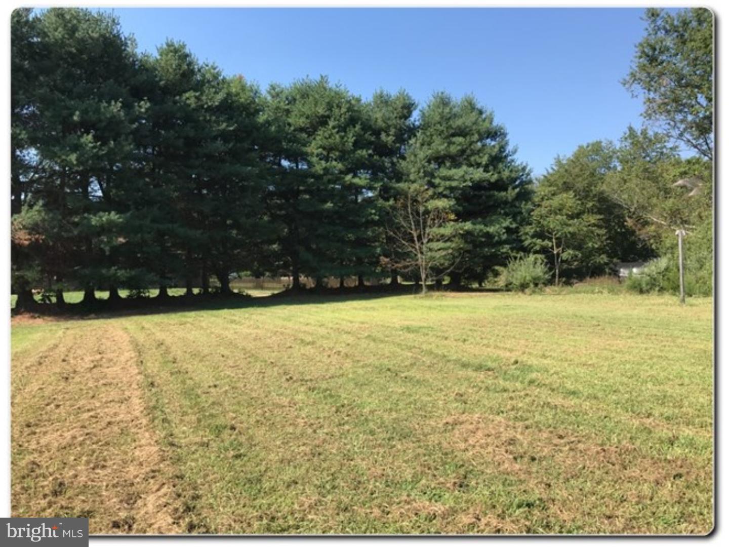 595 Behl Road Franklinville, NJ 08322 - Photo 4 of 12 Gallery Image 4