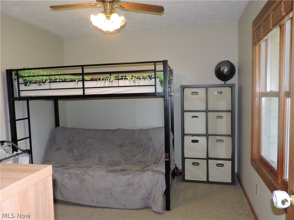 40222 Biggs Road Lagrange, OH 44050 - Photo 17 of 29 Main floor bedroom