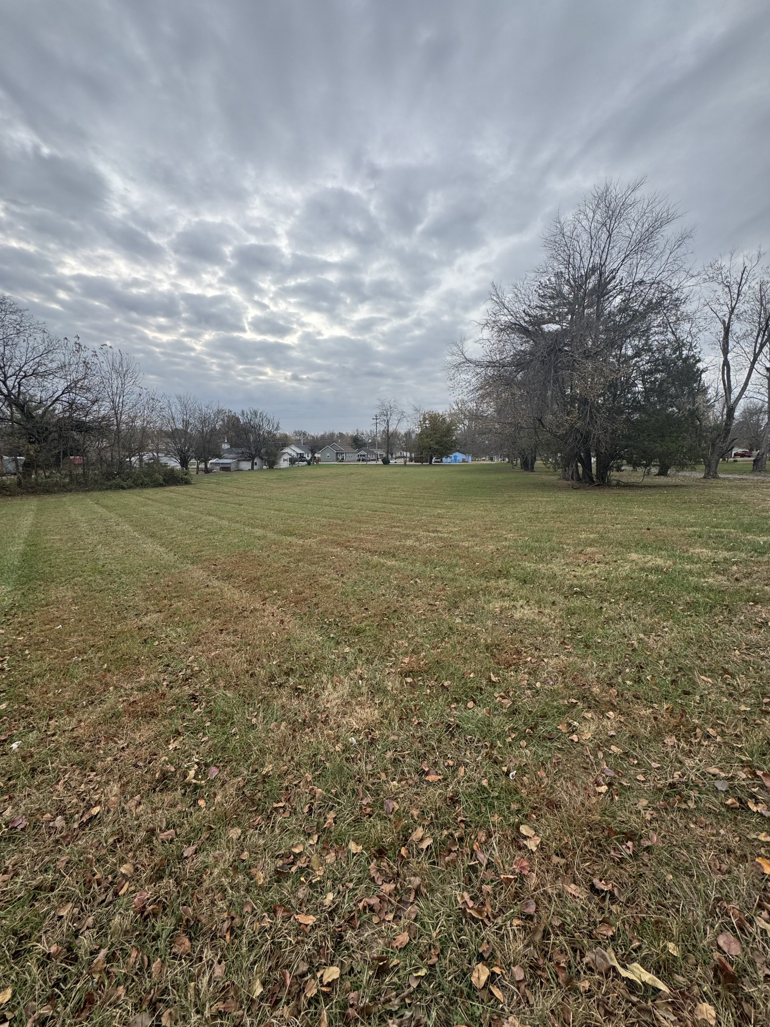 405 College Street Portland, TN 37148 - Photo 3 of 15 a view of a field with an ocean