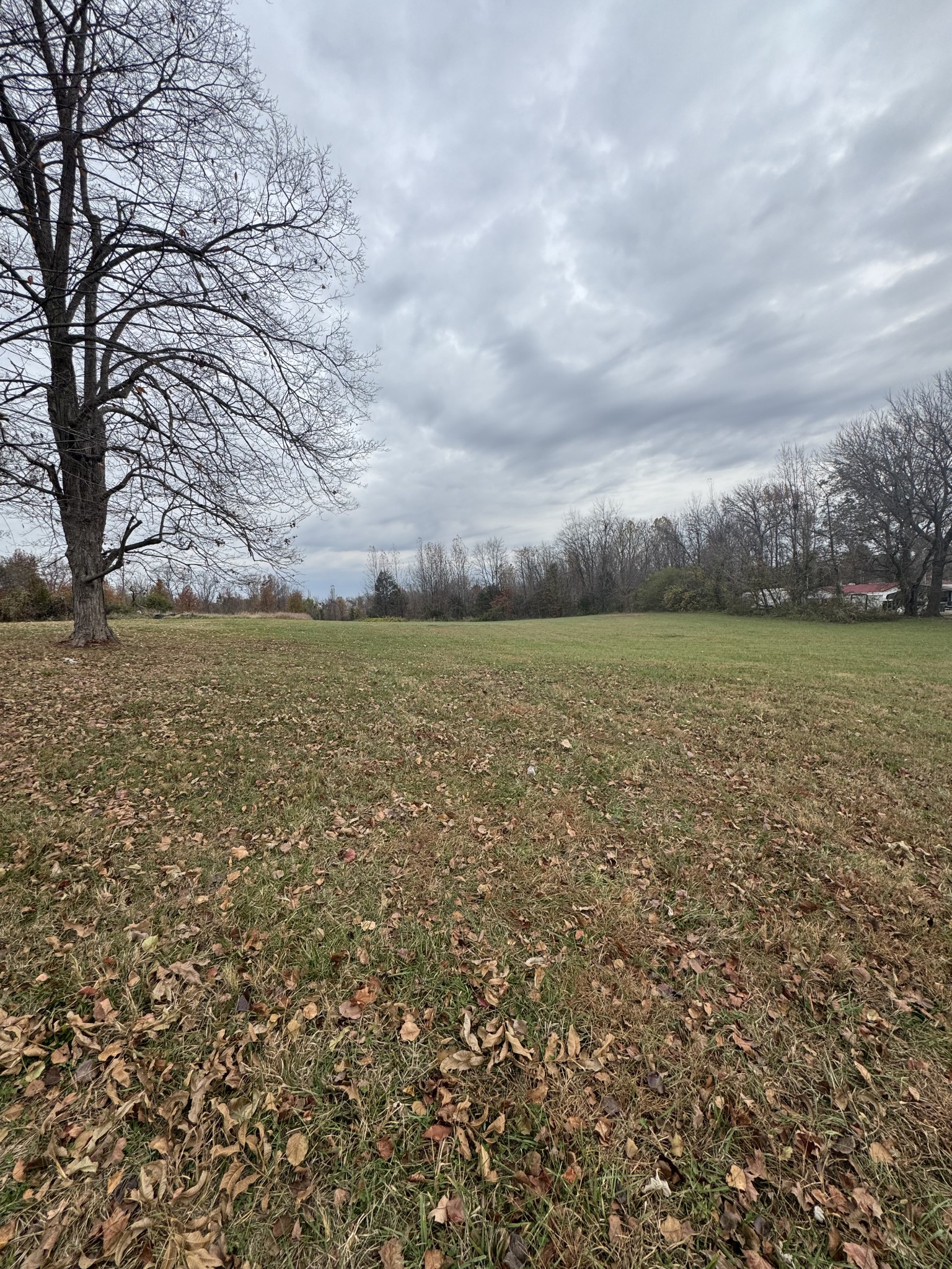 405 College Street Portland, TN 37148 - Photo 4 of 15 a view of an ocean