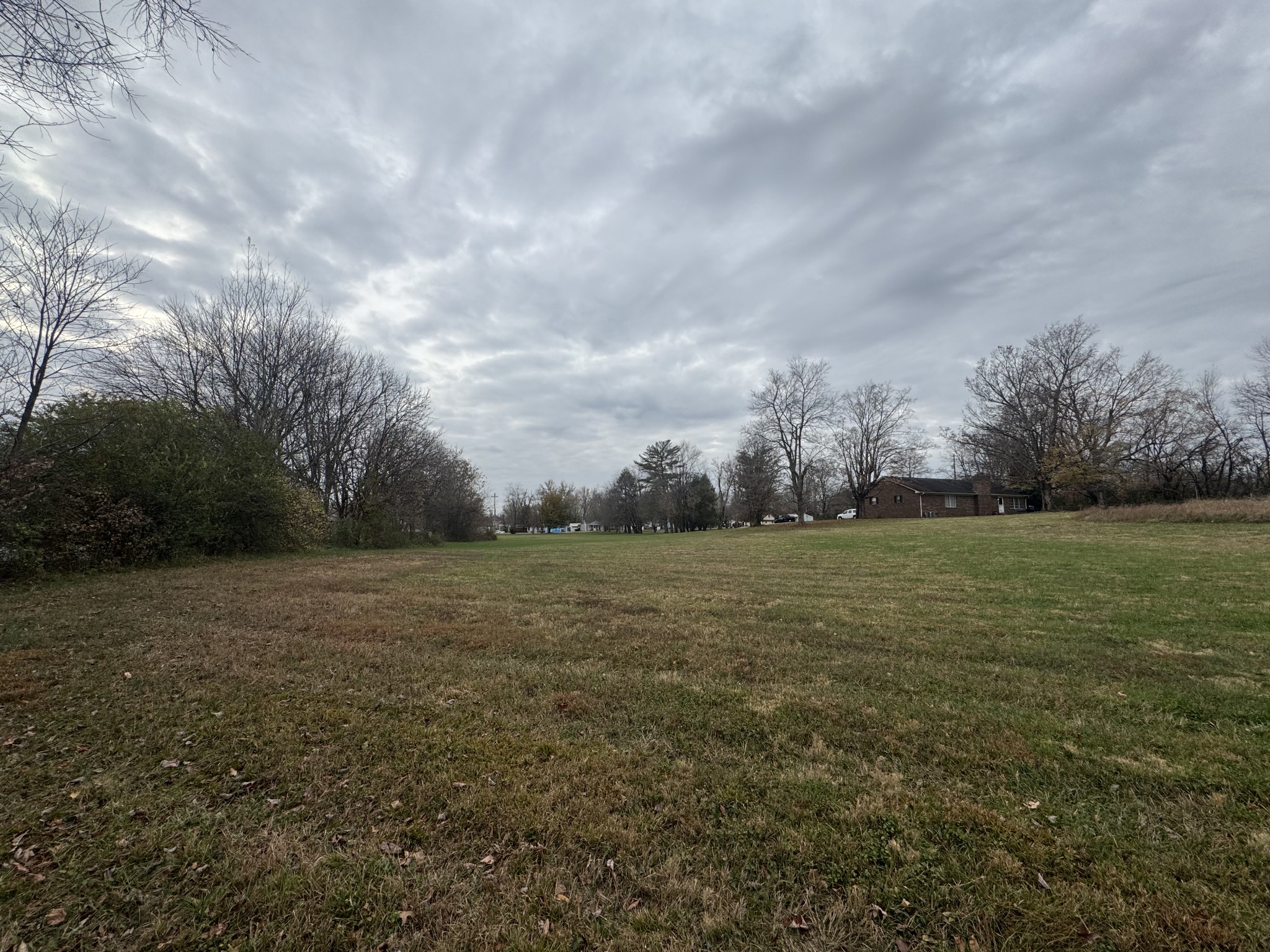 405 College Street Portland, TN 37148 - Photo 5 of 15 a view of outdoor space and yard