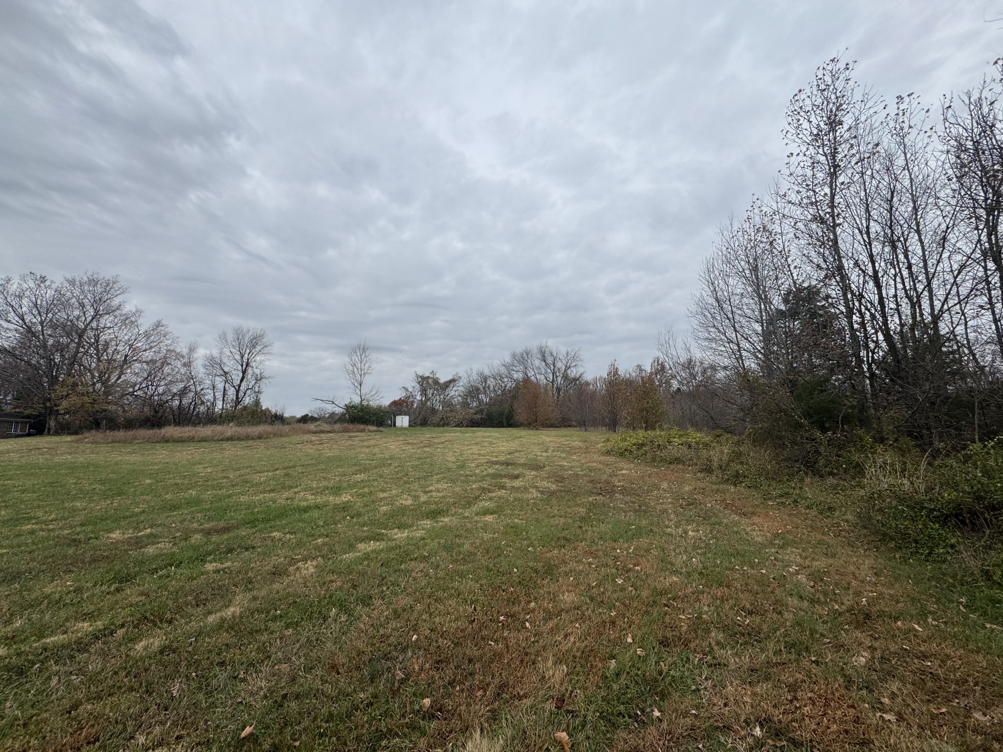 405 College Street Portland, TN 37148 - Photo 6 of 15 a view of a field with an trees