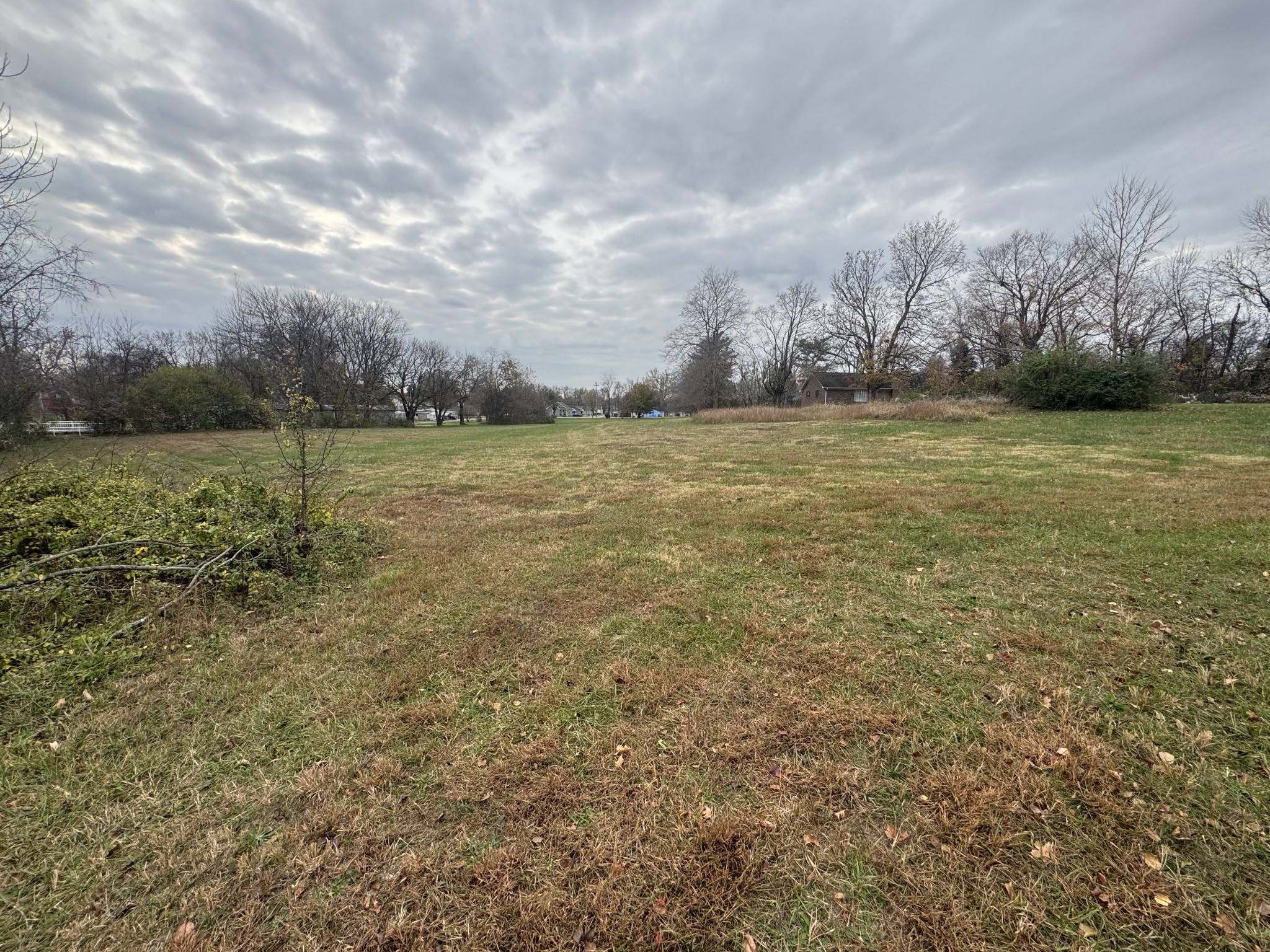 405 College Street Portland, TN 37148 - Photo 7 of 15 a view of an outdoor space and a yard