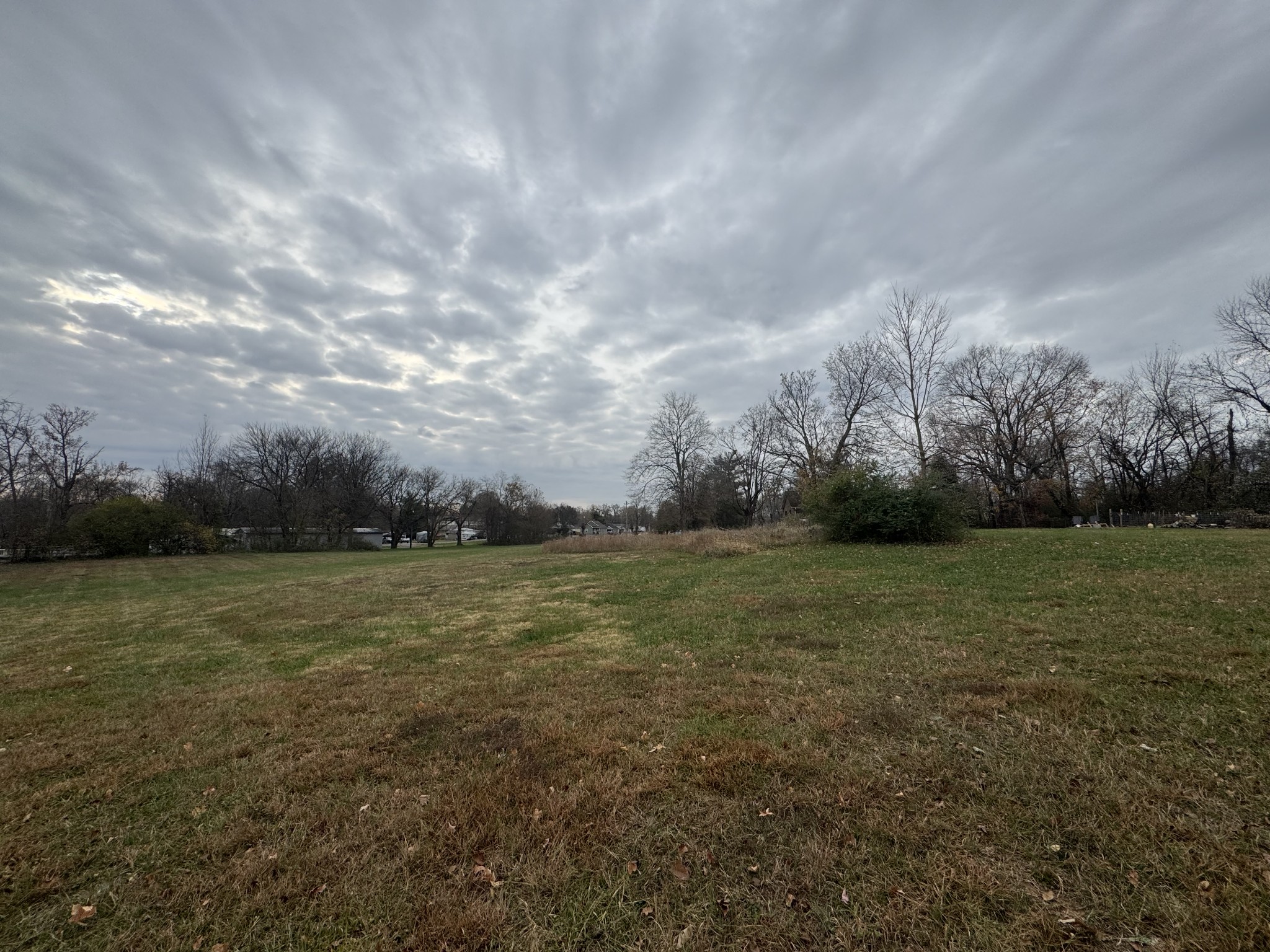 405 College Street Portland, TN 37148 - Photo 8 of 15 a view of a field with trees