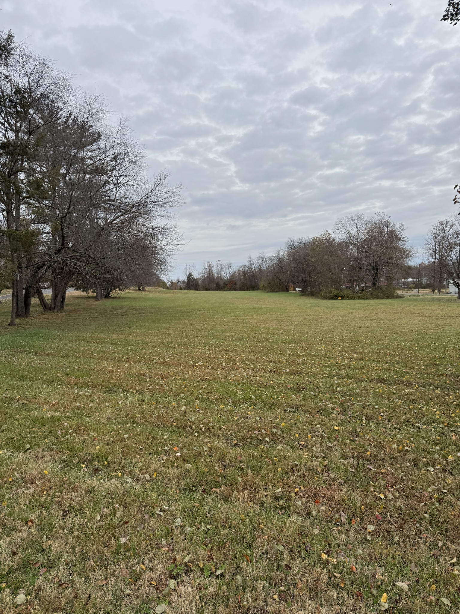 405 College Street Portland, TN 37148 - Photo 9 of 15 a view of an ocean