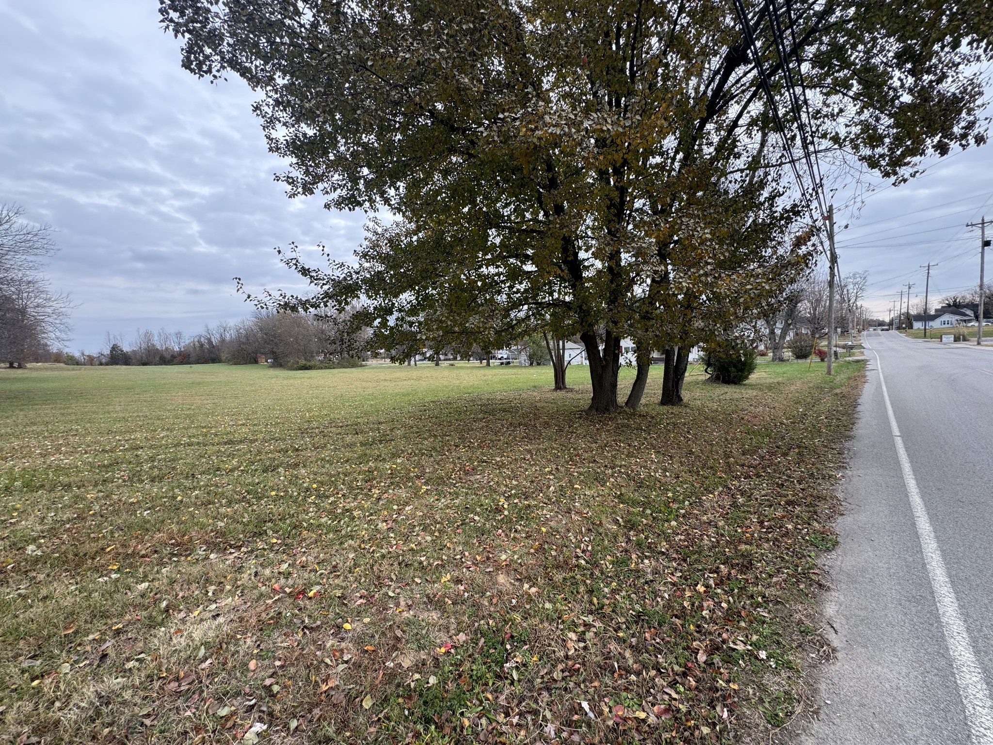 405 College Street Portland, TN 37148 - Photo 10 of 15 a view of a field with an trees