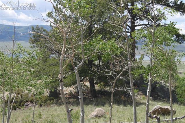 159 Emerald Way Lake George, CO 80827 - Photo 6 of 26 Gallery Image 6