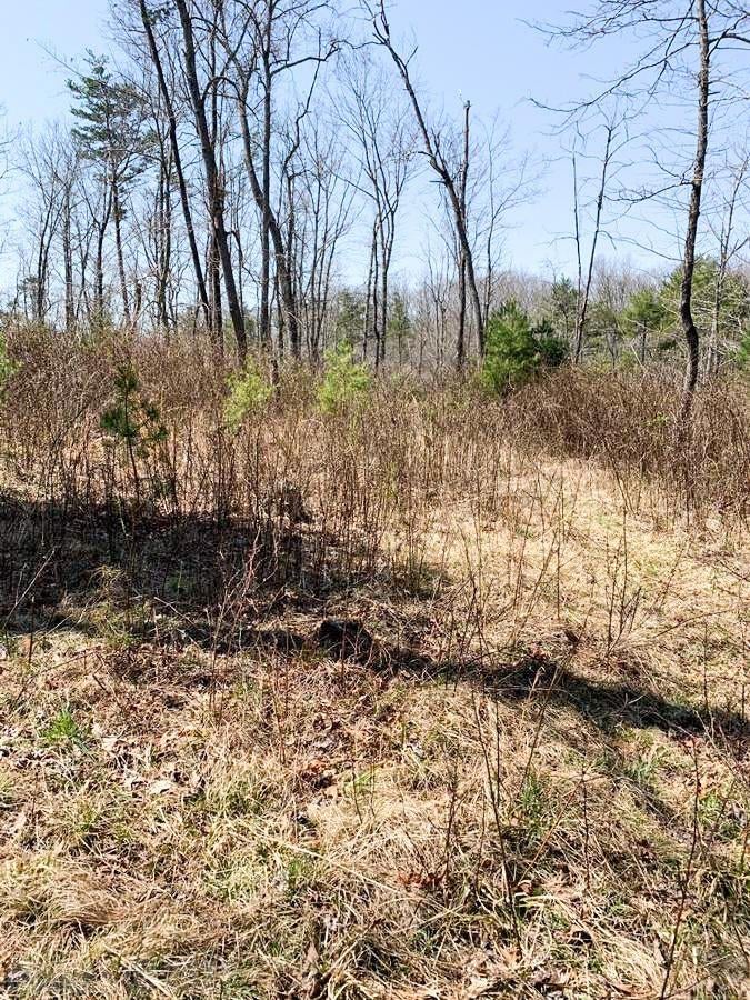 Tbd Mash Run Road Blacksburg, VA 24060 - Photo 7 of 9 Gallery Image 7