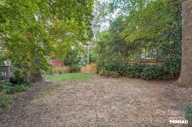 a view of a yard with plants and large trees