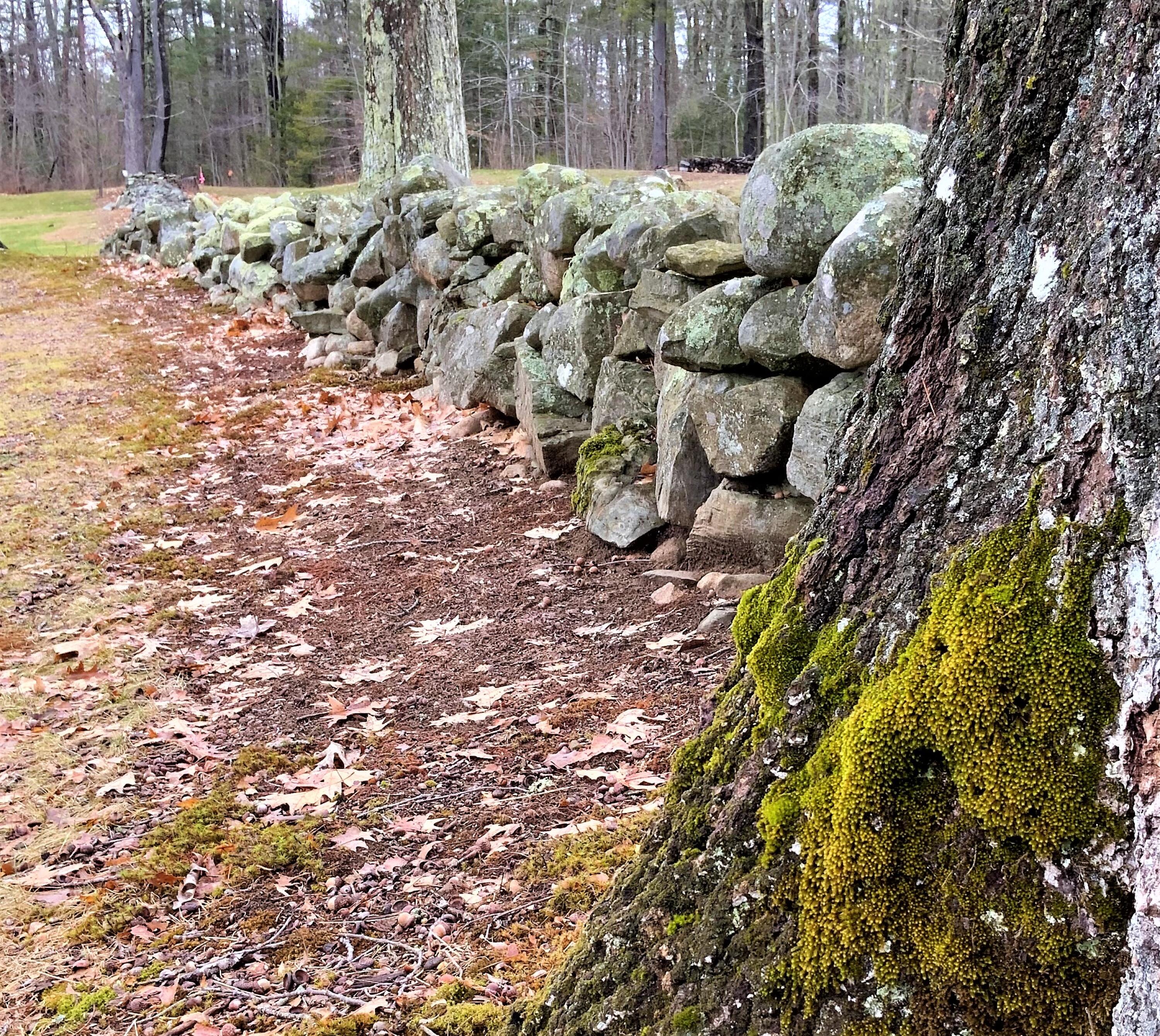 -a) Coles Hill Road Wells, ME 04090 - Photo 5 of 21 back stonewall