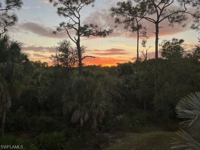 18320 Creekside Preserve Loop, Unit 201 Fort Myers, FL 33908 - Photo 27 of 27 View of nature at dusk