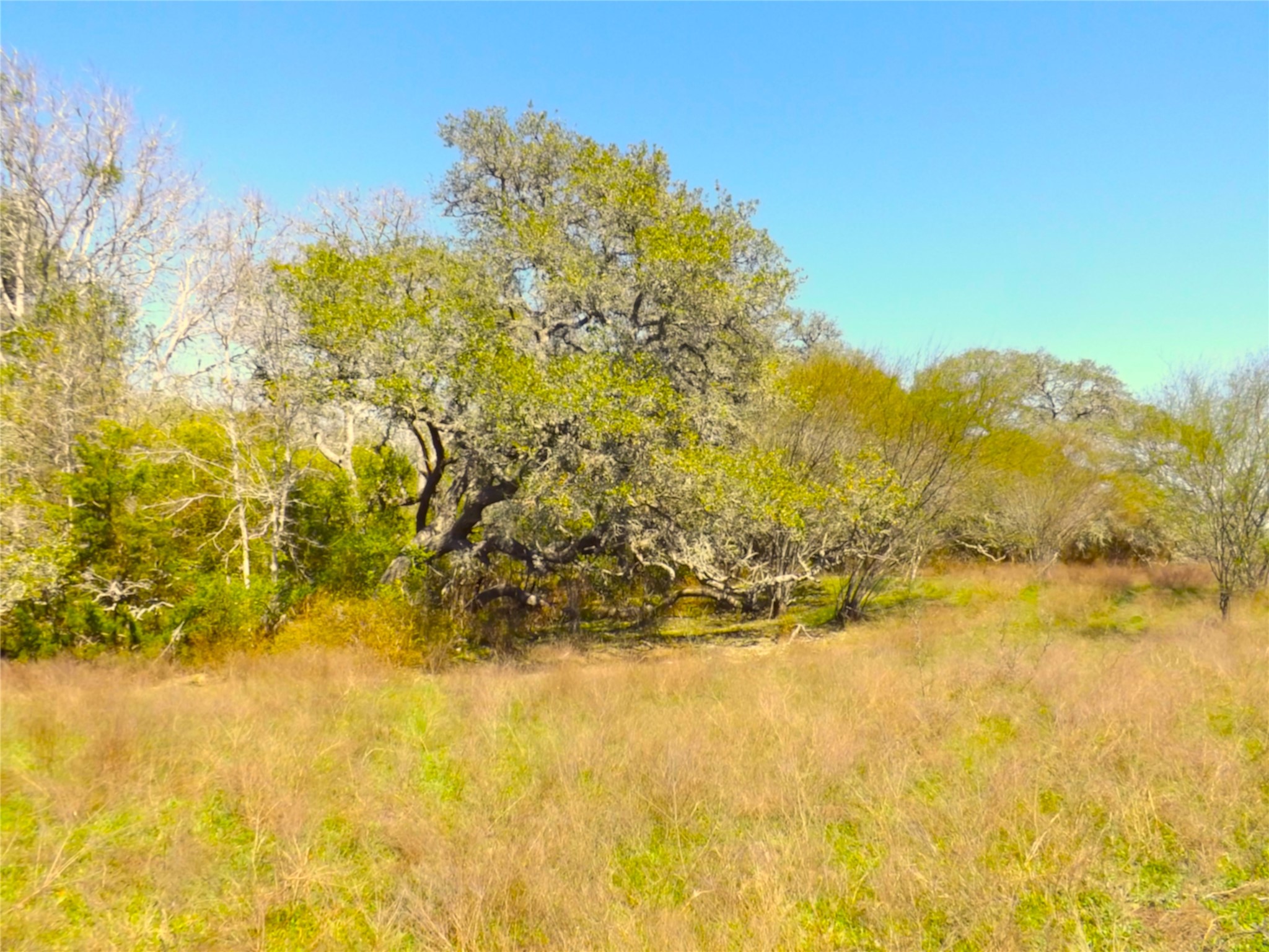 1649 County Road 209 Weimar, TX 78962 - Photo 12 of 27