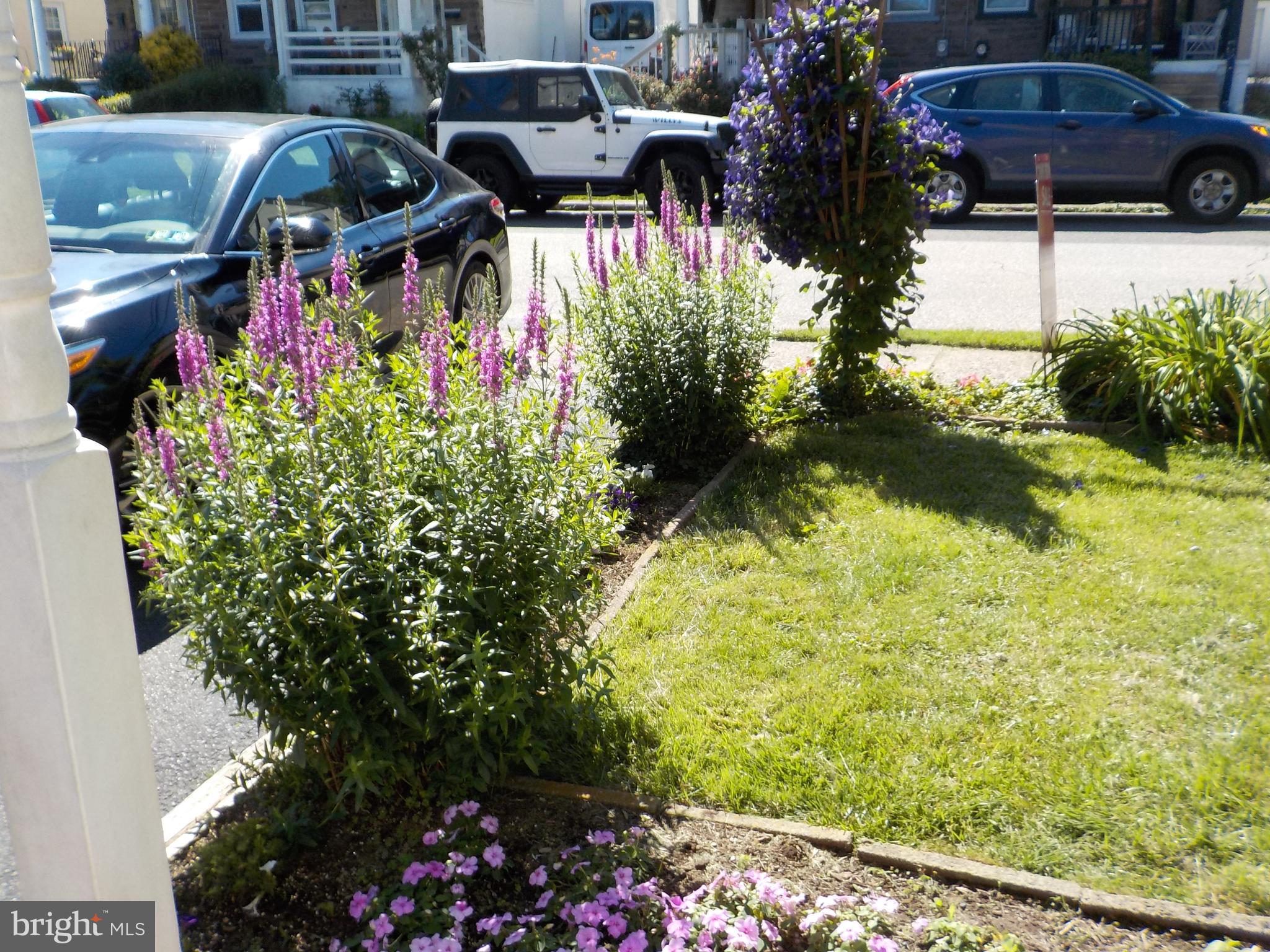 244 Williams Road Bryn Mawr, PA 19010 - Photo 5 of 40 More Front yard