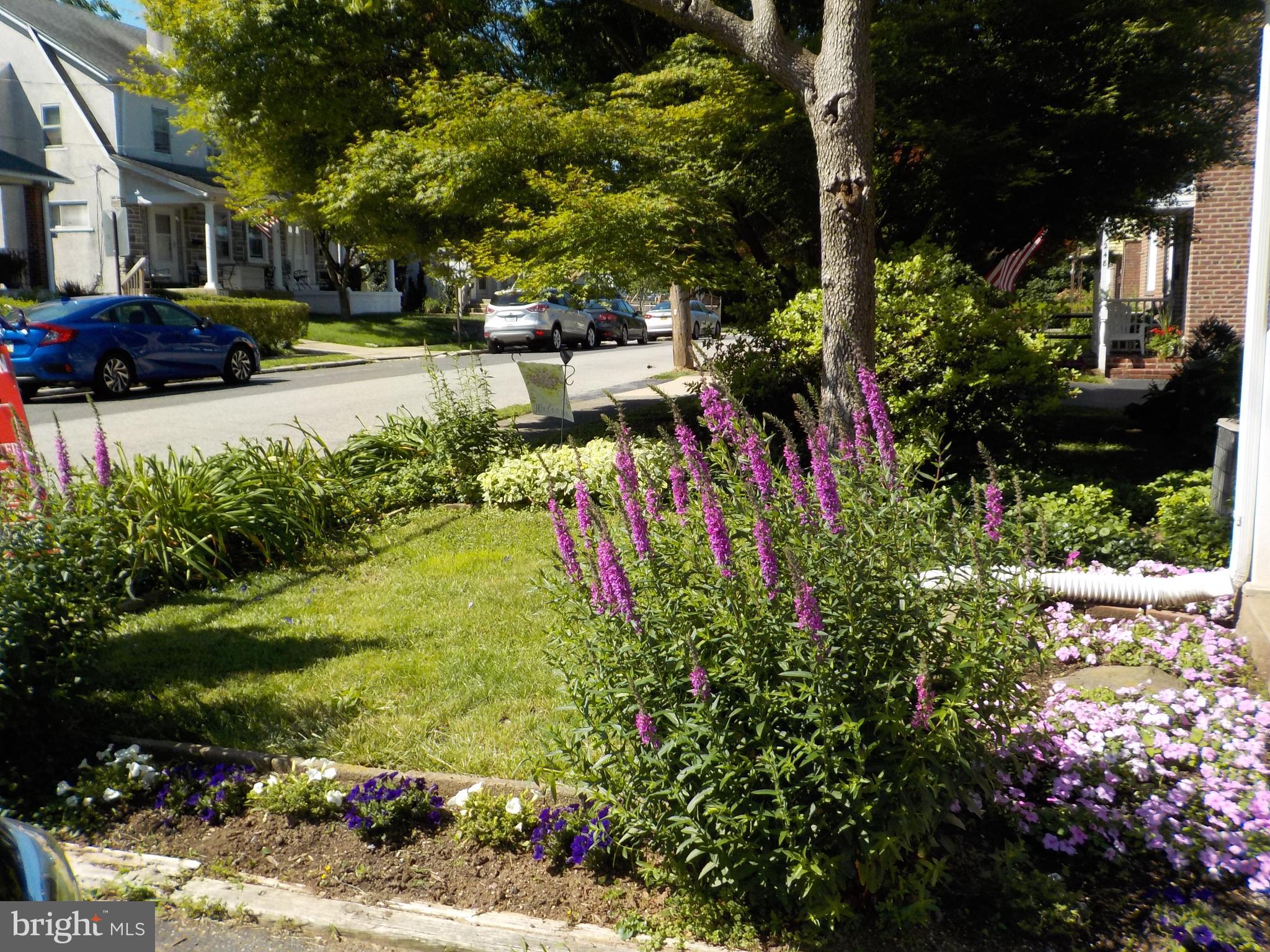 244 Williams Road Bryn Mawr, PA 19010 - Photo 6 of 40 Front yard