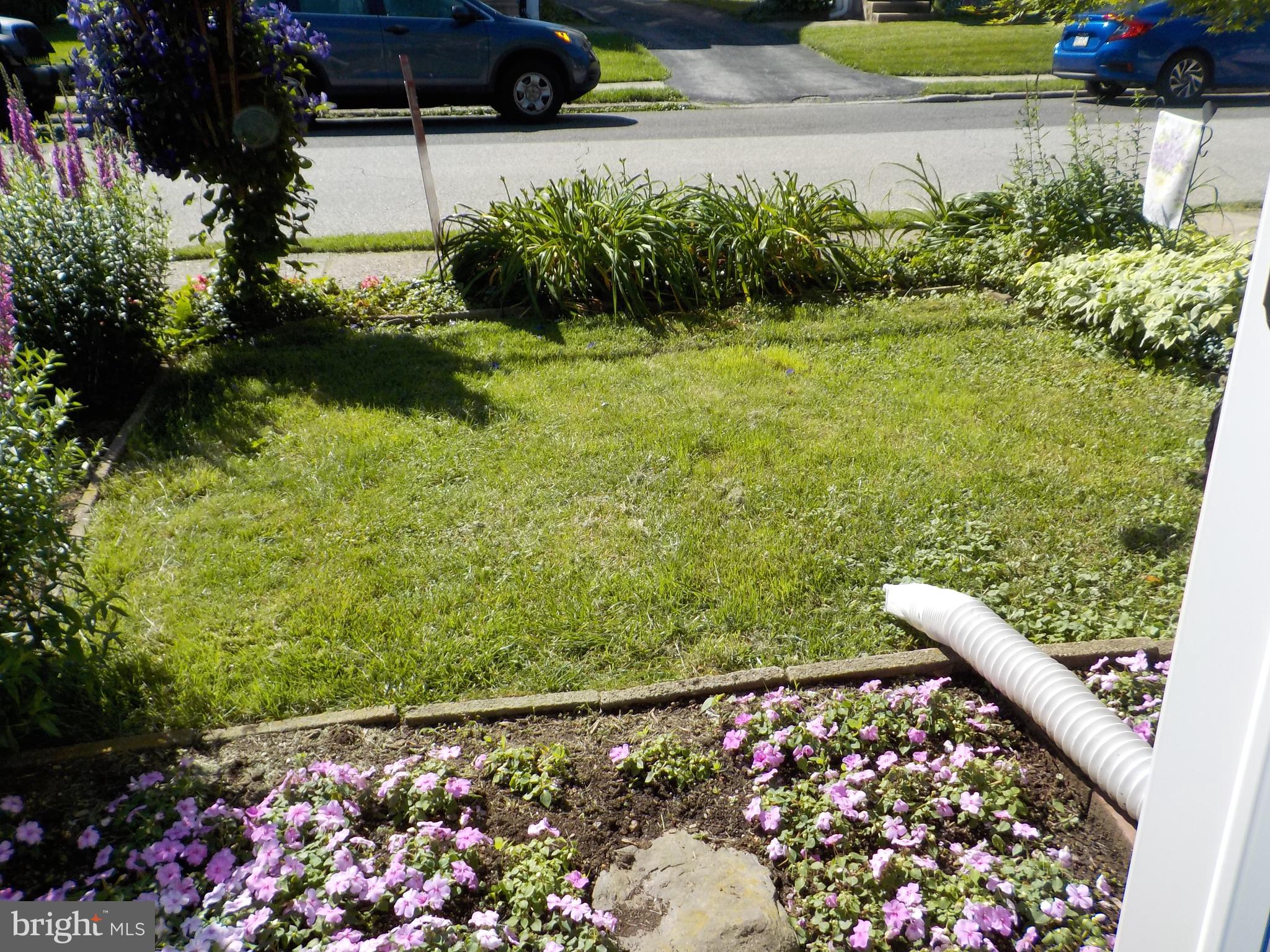 244 Williams Road Bryn Mawr, PA 19010 - Photo 7 of 40 View from inside front door