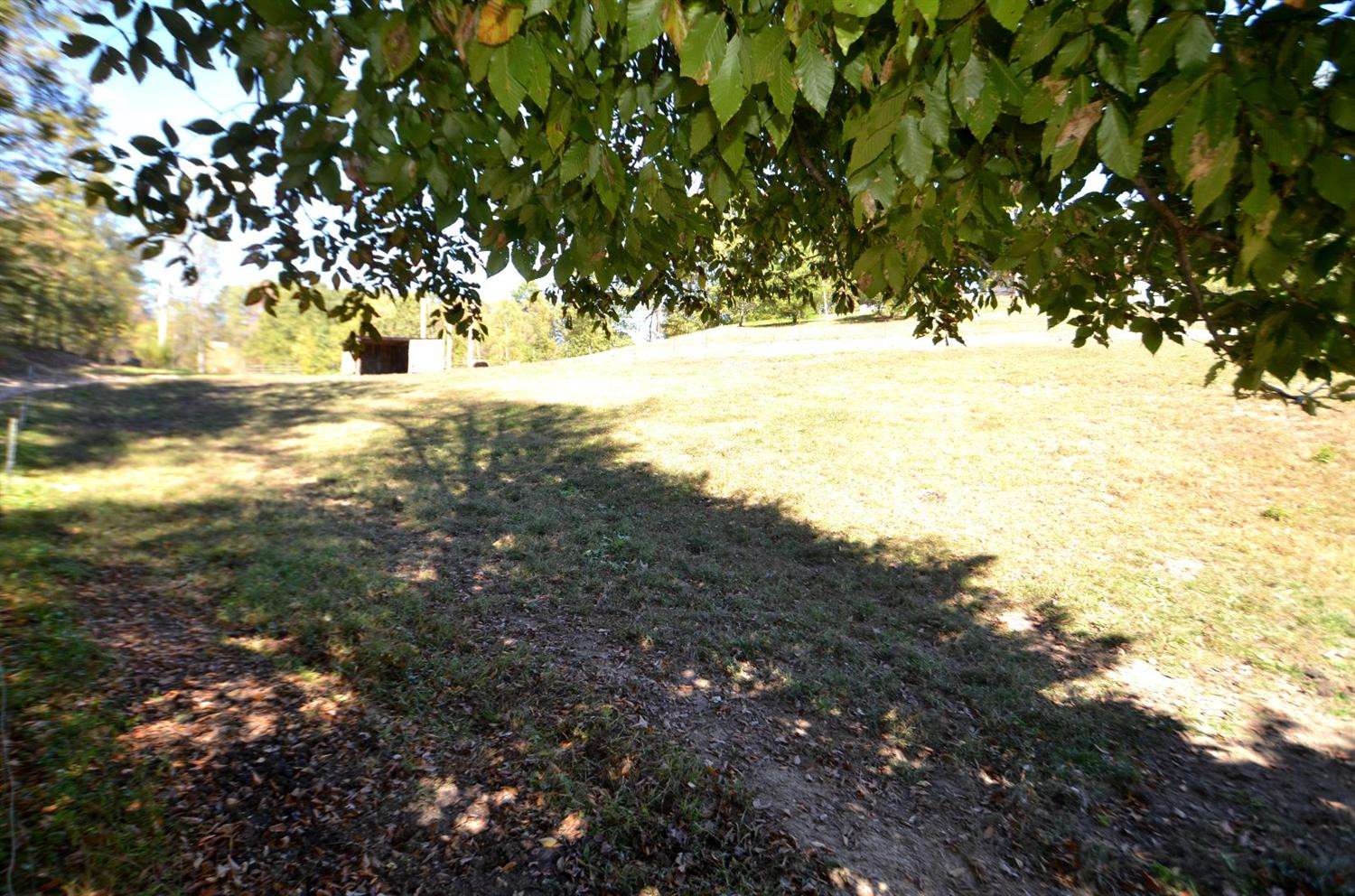 179 Kings Cemetery Road Irvine, KY 40336 - Photo 42 of 53 Run-in-sheds and shade trees help keep y