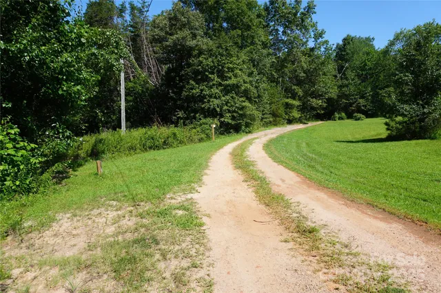 a view of a park that has large trees