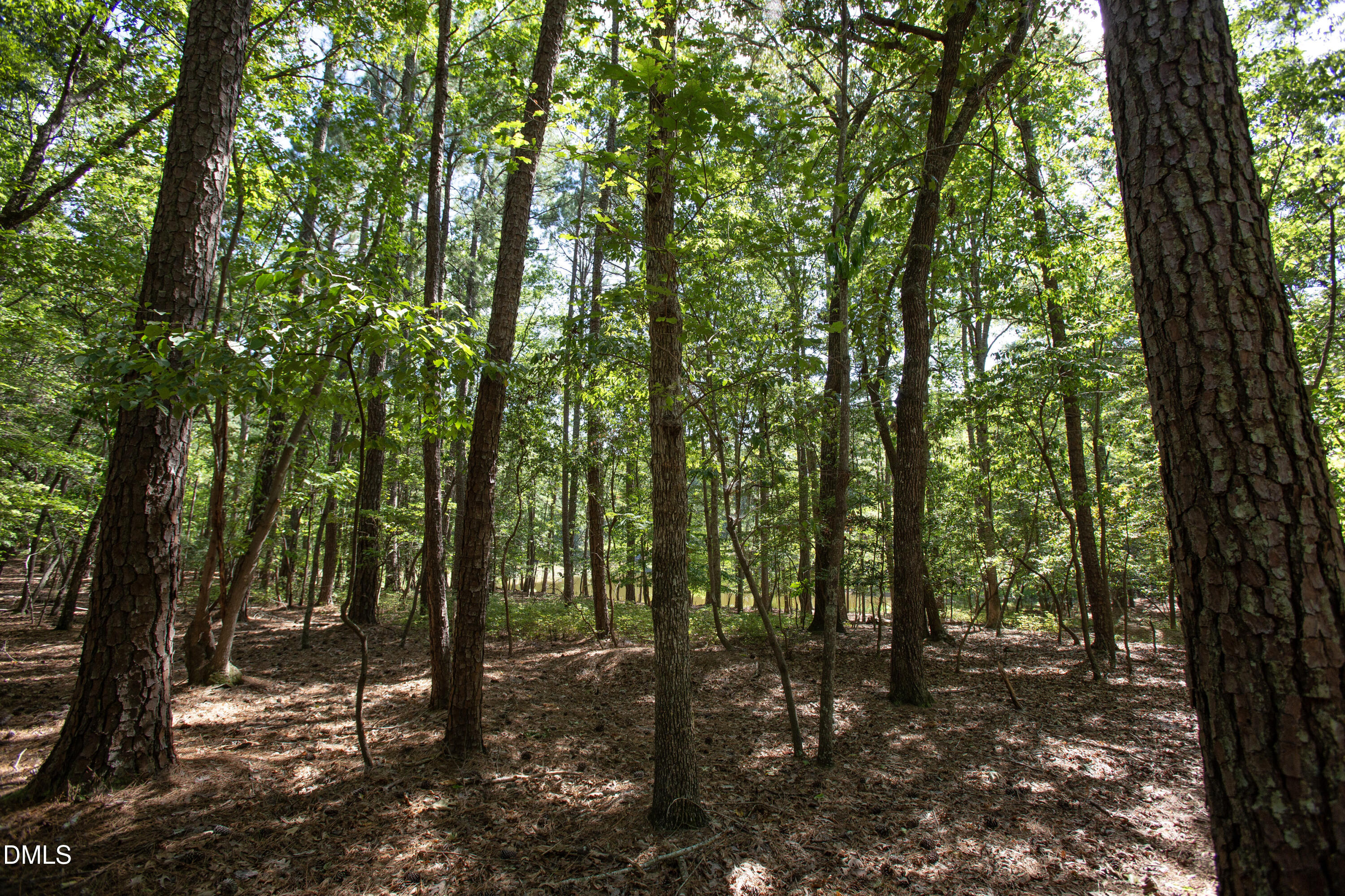 1716 Brassfield Road Raleigh, NC 27614 - Photo 28 of 74 Brassfield 16