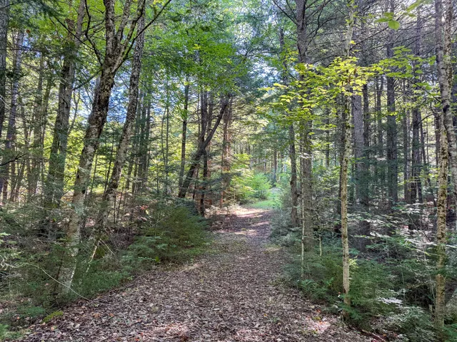 $599,900 | 700 Webb Cove Drive, Lowell, ME 04493