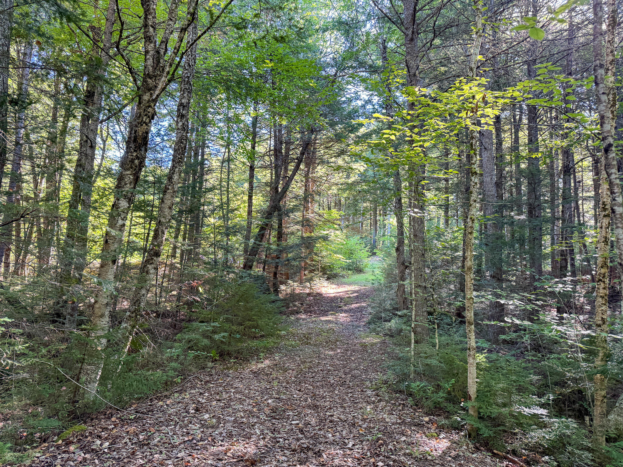 700 Webb Cove Drive Lowell, ME 04493 - Photo 11 of 27 10