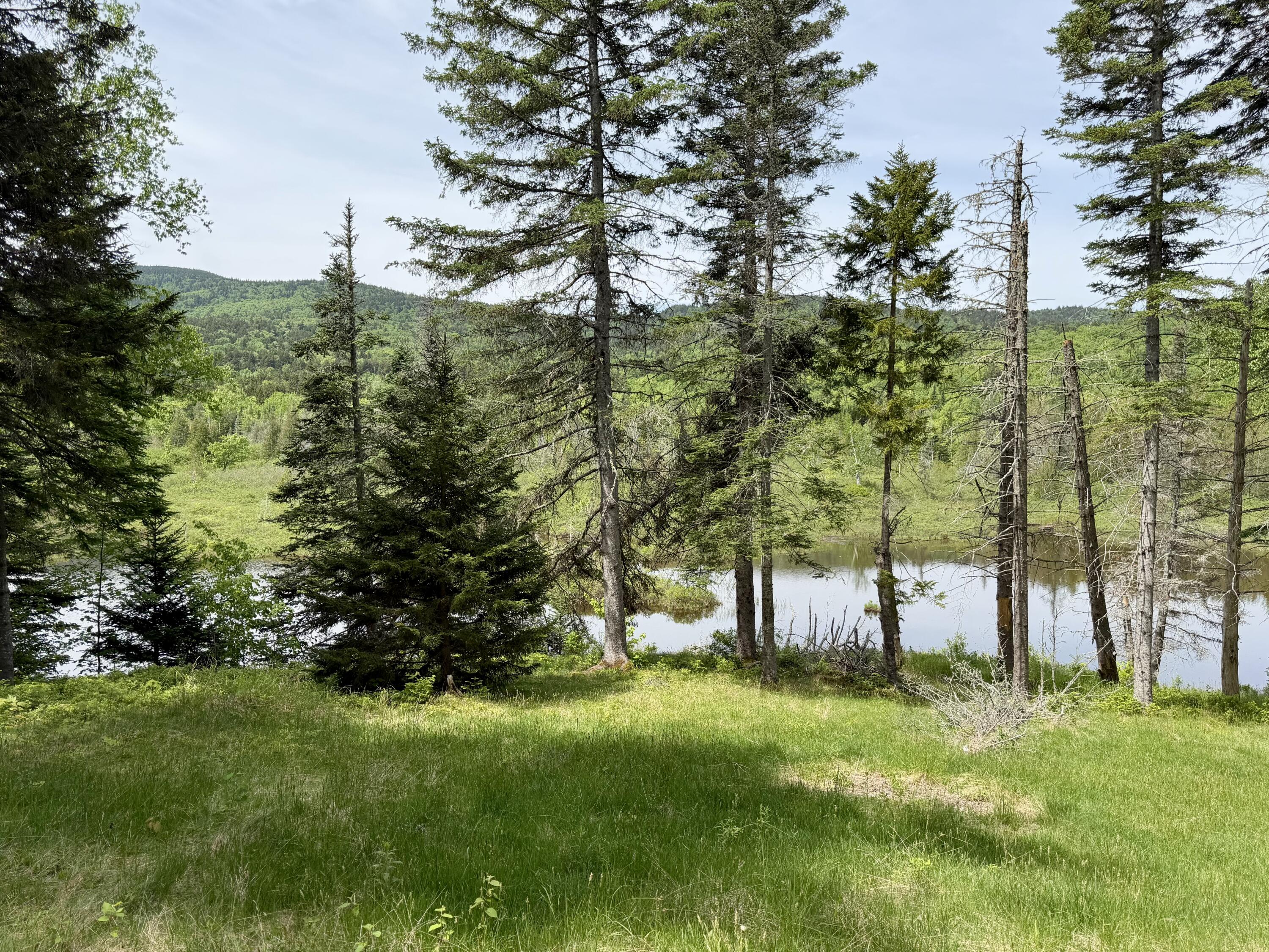 34 Bypass Road Sandy River Plt, ME 04970 - Photo 5 of 36 View