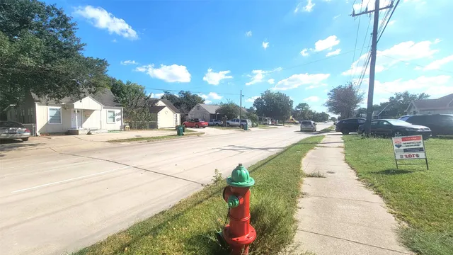 a view of a park with palm trees