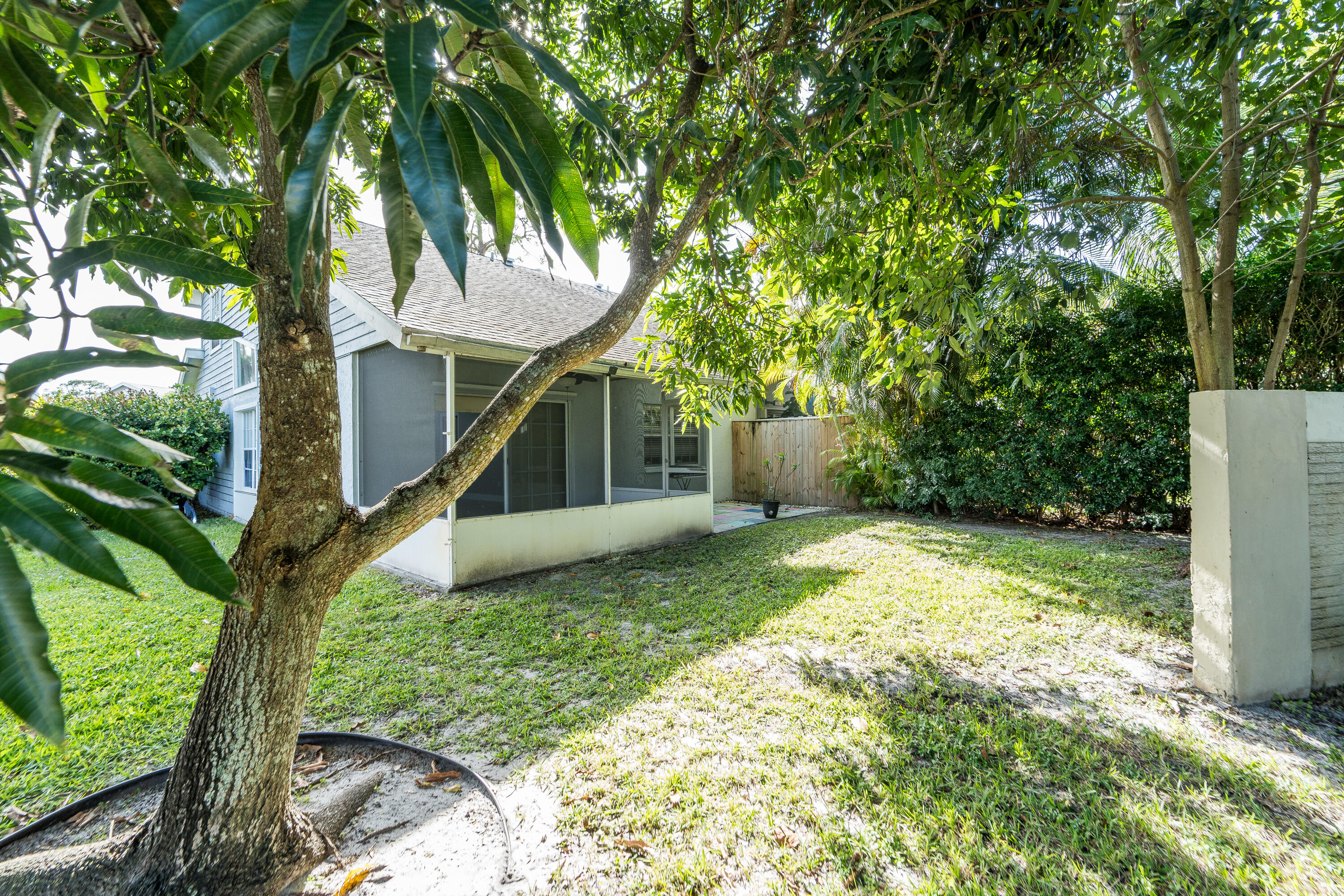 13164 Quiet Woods Road, Unit B Wellington, FL 33414 - Photo 31 of 48 Mature Mango & Avocado trees